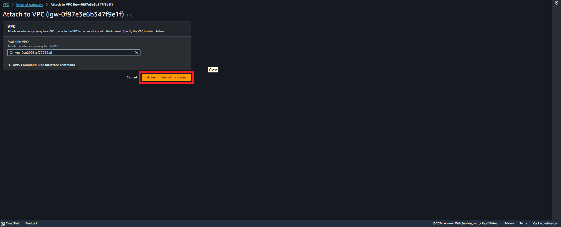 Attach Internet Gateway Snapshot