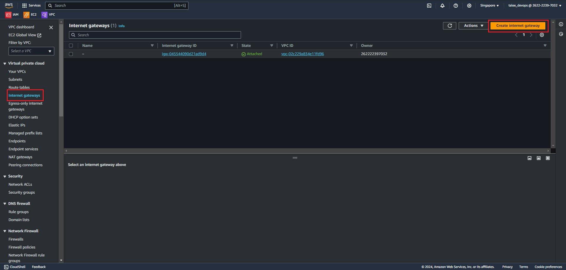 Internet Gateway Snapshot