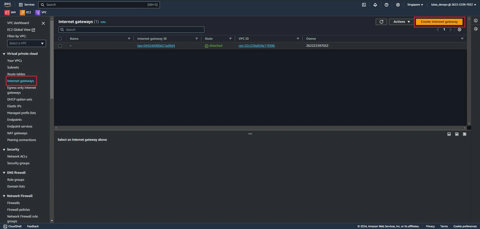Internet Gateway Snapshot