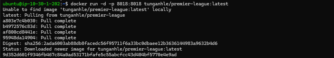 Docker run images