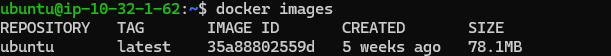 docker ps
